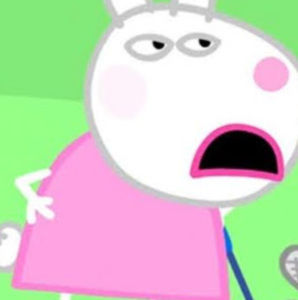 Meet your Posher, Ana